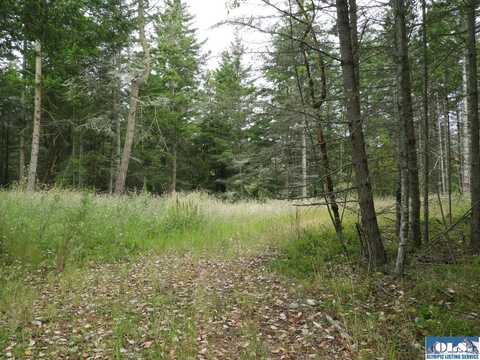 Lot 4 Kirner Road, Sequim, WA 98382