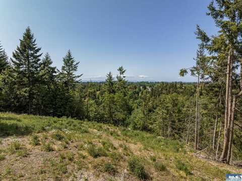 Lot 5 Kirner Road, Sequim, WA 98382
