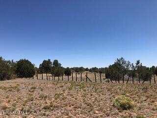 0 Parcel # 301-31-064a & B, Seligman, AZ 86337