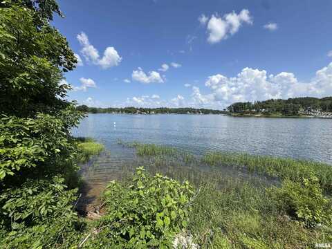 1135 N LAKESHORE Drive, Goreville, IL 62939