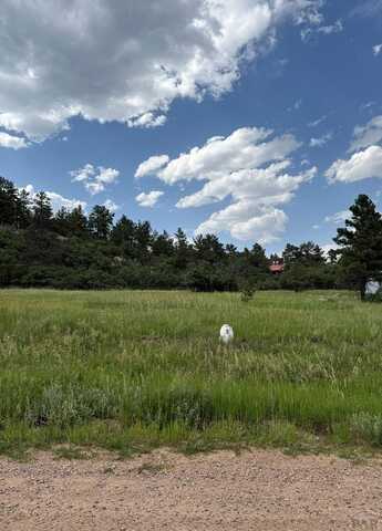 Kaneache Blvd, Colorado City, CO 81019