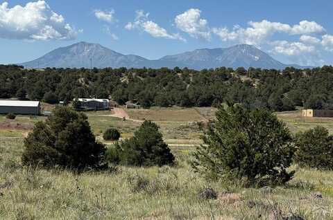Chickasaw Drive, Walsenburg, CO 81089