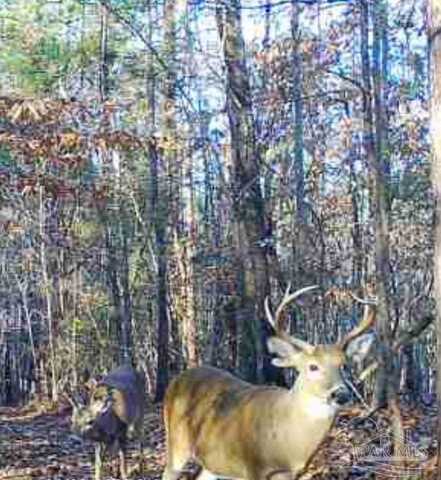 000 Apple Grove Rd, Vredenburgh, AL 36481