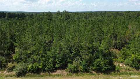 Lot 21 Sid Hayes Rd, Jay, FL 32565