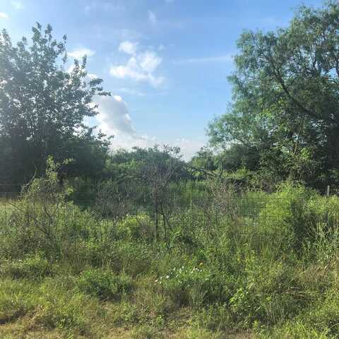 Anaqua, Beeville, TX 78102