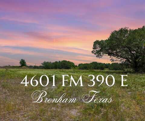 4601 Farm to Market Road 390, Brenham, TX 77833