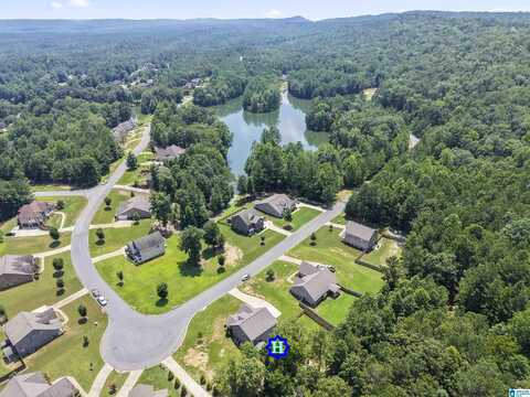 189 RIDGELINE DRIVE, CHELSEA, AL 35043