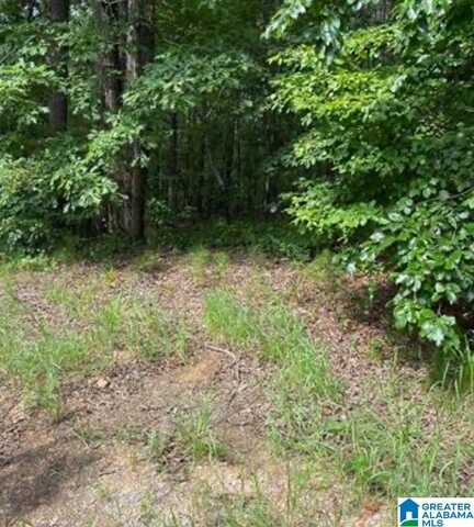 WILLOW WAY DRIVE, LAKEVIEW, AL 35111