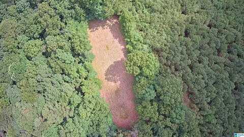 6156 COUNTY ROAD 29, HAMILTON, AL 35570