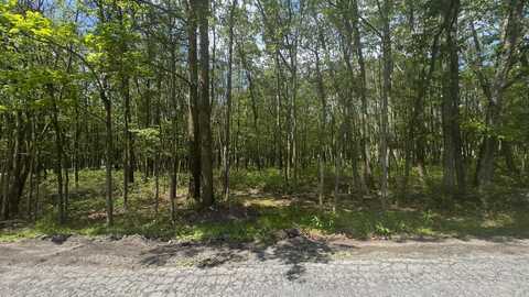 Seneca Trail, Albrightsville, PA 18210