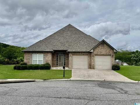 2025 MADISON CIRCLE, CHELSEA, AL 35043