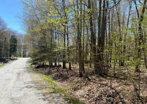 5 Skippack Trl 5 Trail, Pocono Lake, PA 18347