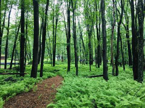 Lot 506 Ridge Road, Pocono Lake, PA 18347