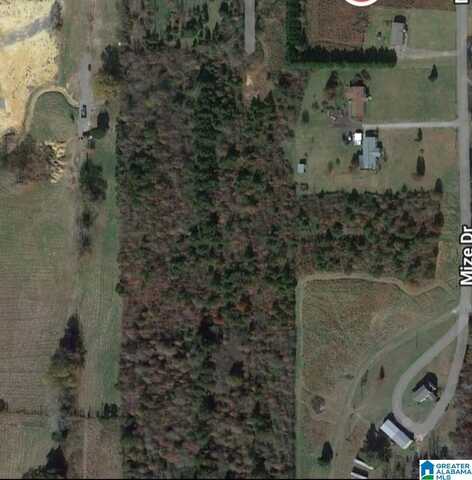 0 MIZE DRIVE, ODENVILLE, AL 35120