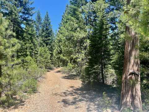 910 Mountain Drive, Johnsville, CA 96103