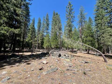 38 Tolowa Trail, Graeagle, CA 96103