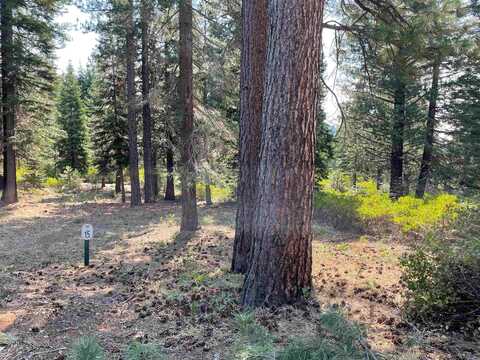 109 Fox Pine Drive, Lake Almanor, CA 96137