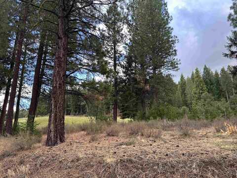1348 Red Sky, Portola, CA 96122