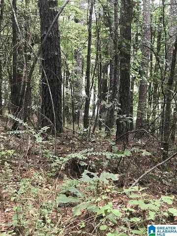 LAKESIDE LANE, ALPINE, AL 35014