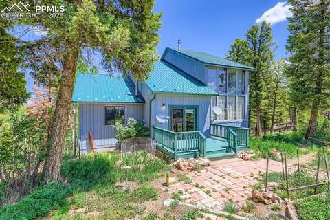 147 Shavano Creek Trail, Florissant, CO 80816