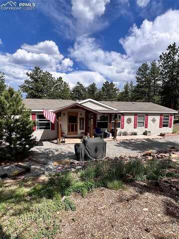 434 Blue Mountain Drive, Florissant, CO 80816