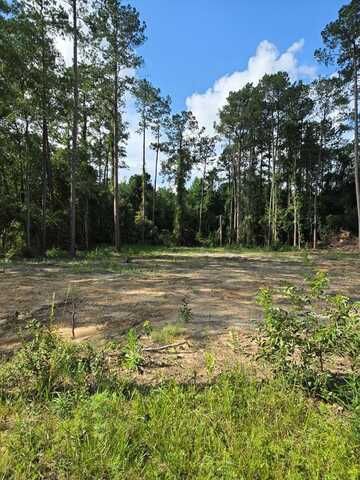 80 Lakeside Drive, Carriere, MS 39426