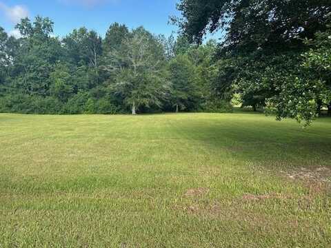 NHN Mitchell Cove, Lot 17a, Carriere, MS 39466