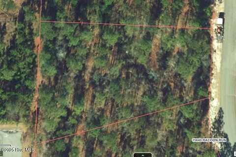 28 Racoon Run, Wagram, NC 28396