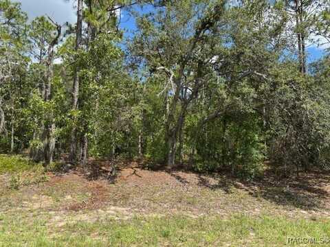 7462 N Sugarberry Drive, Citrus Springs, FL 34434