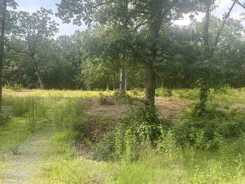 Lot 99 Vernon Court, Cabot, AR 72023