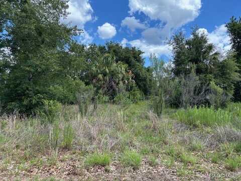 4279 E Texas Street, Hernando, FL 34442
