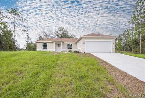 9909 N Dana Way, Citrus Springs, FL 34433