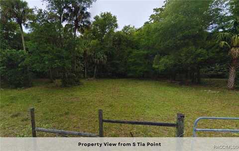1958 S Tia Point, Homosassa, FL 34448