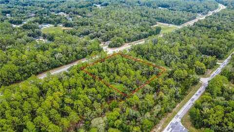 1287 W Evergreen Drive, Citrus Springs, FL 34434