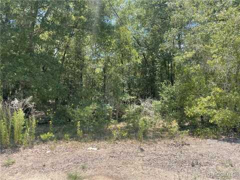 SW 22nd Place, Ocala, FL 34481