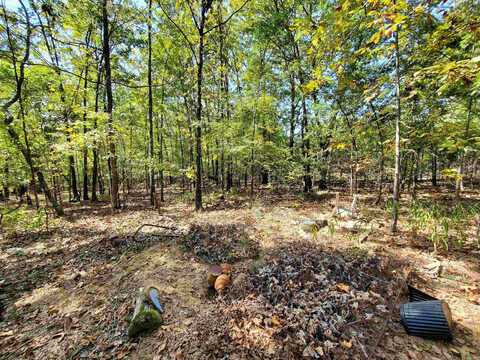 176 Double G Farm Road, Romance, AR 72136