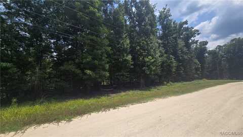 47th Lane, Bell, FL 32619