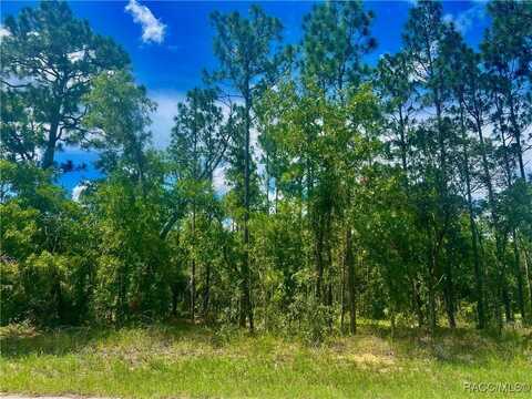 4 Pagoda Court E, Homosassa, FL 34446