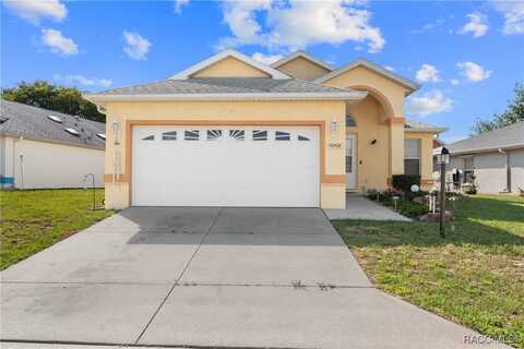 10468 S Drew Bryant Circle, Floral City, FL 34436