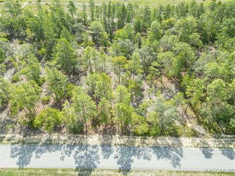 7 Fringetree Court, Homosassa, FL 34446