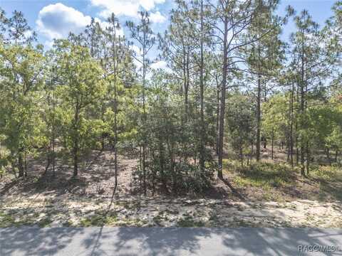 5 Fringetree Court, Homosassa, FL 34446