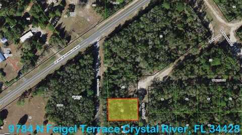 9784 N Feigel Terrace, Crystal River, FL 34428