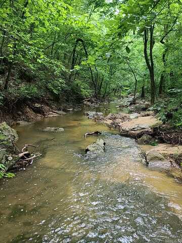 000 Old Dolph Road, Pineville, AR 72566