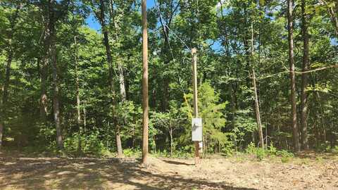 TBD Hickory Hill Lane, Mount Ida, AR 71957