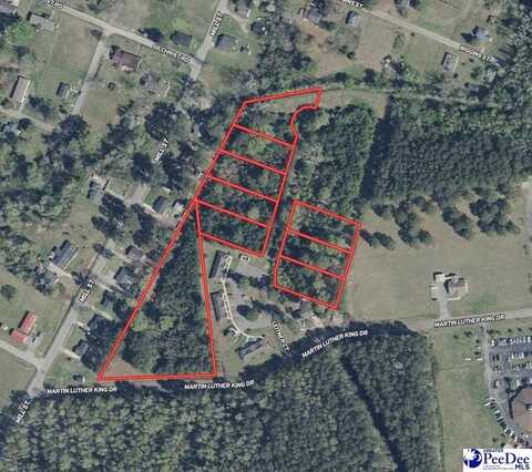 TBD Martin Luther King Dr., Marion, SC 29571