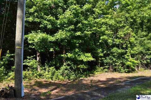 TBD Lots 1-7 Bundy Street, Clio, SC 29525
