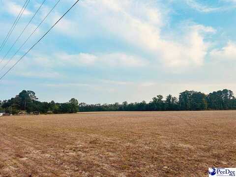 Highway 9, Nichols, SC 29581