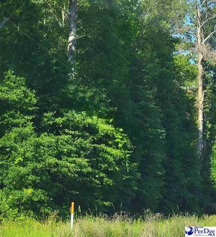TBD Lot 1B Hwy 9, Clio, SC 29525