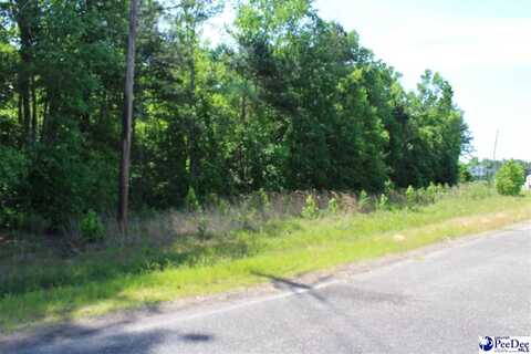 Lot Galveston Ct., Marion, SC 29571