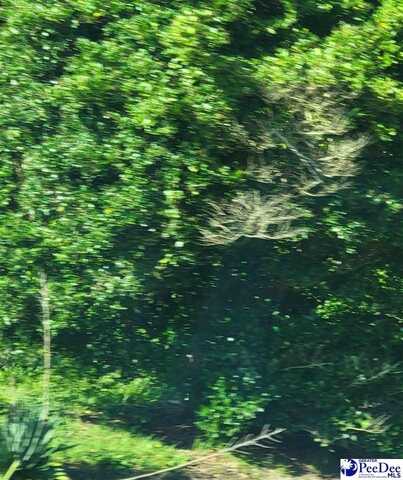 TBD Lot 6A Highway 9, Clio, SC 29525